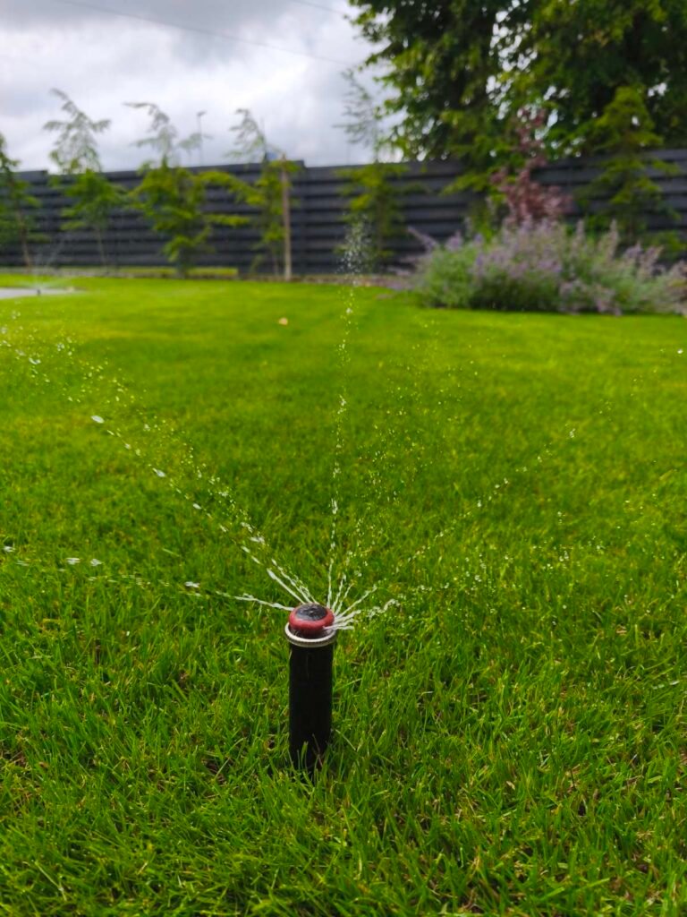 viber image 2025 07 20 14 15 38 236